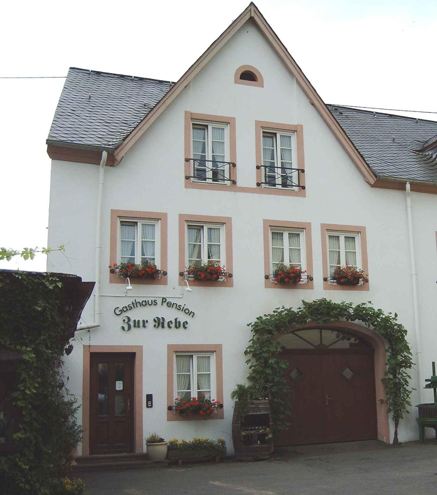 Gasthaus Zur Rebe Mehring  Bagian luar foto