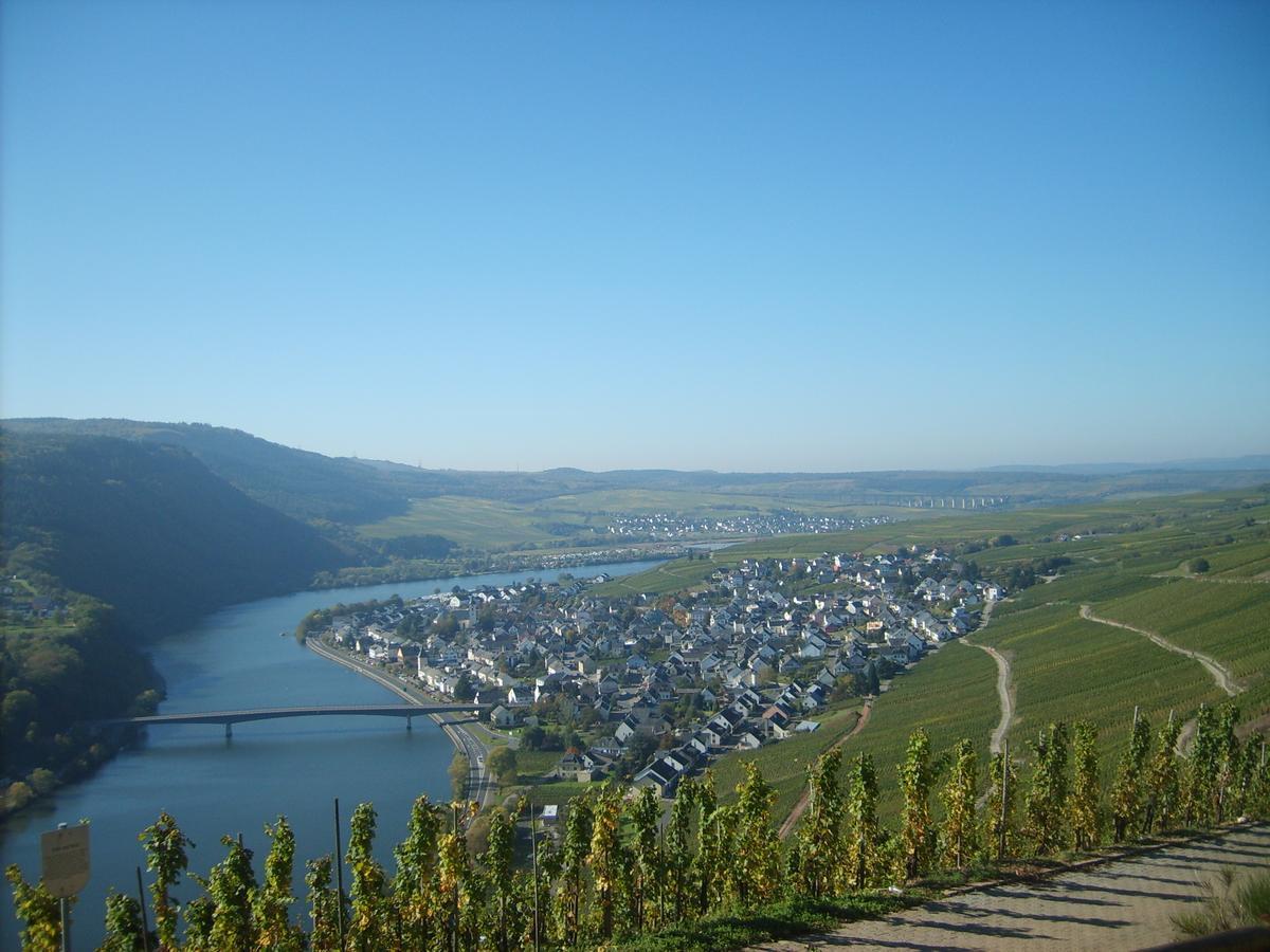 Gasthaus Zur Rebe Mehring  Bagian luar foto